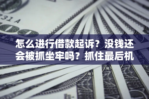 武汉怎么进行借款起诉？没钱还会被抓坐牢吗？抓住最后机会！