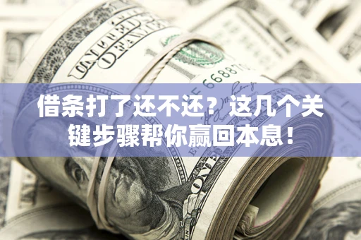 武汉借条打了还不还？这几个关键步骤帮你赢回本息！