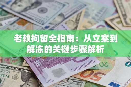 武汉老赖拘留全指南：从立案到解冻的关键步骤解析