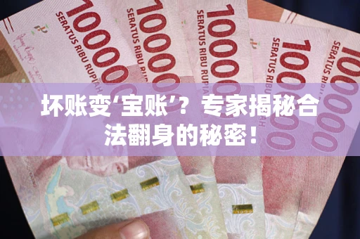武汉坏账变‘宝账’？专家揭秘合法翻身的秘密！
