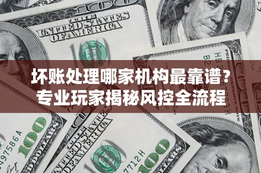 武汉坏账处理哪家机构最靠谱？专业玩家揭秘风控全流程