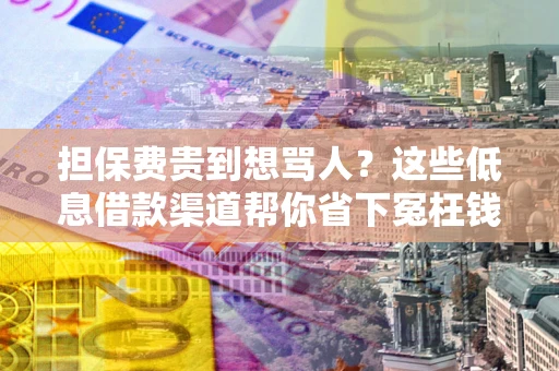 武汉担保费贵到想骂人？这些低息借款渠道帮你省下冤枉钱