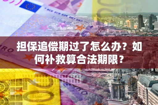 武汉担保追偿期过了怎么办？如何补救算合法期限？