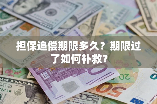 武汉担保追偿期限多久？期限过了如何补救？
