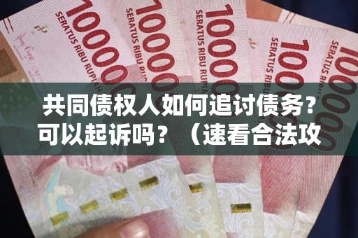 武汉共同债权人如何追讨债务？可以起诉吗？（速看合法攻略）