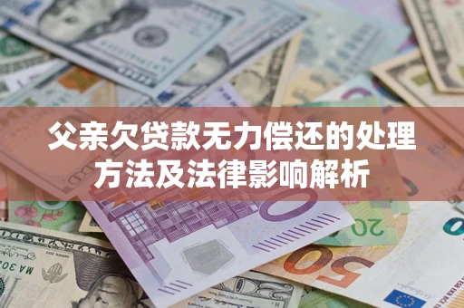 武汉父亲欠贷款无力偿还的处理方法及法律影响解析